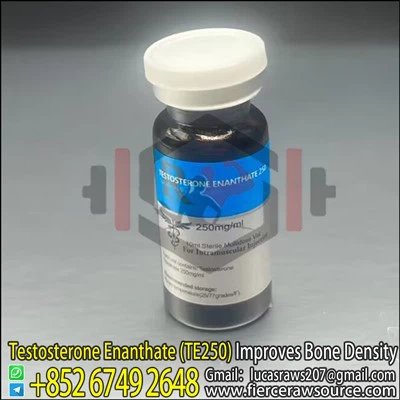 STADA Testosteron Enanthate 250mg CAS:315-37-7